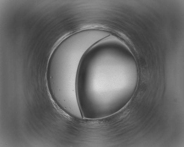 X0000054361330200507290755