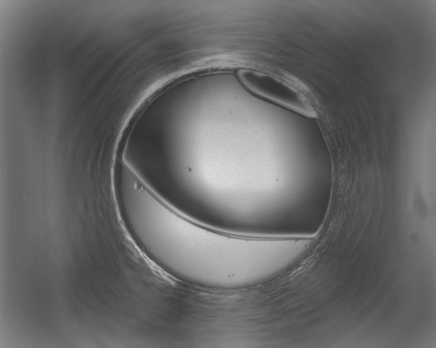 X0000054361334200507290755