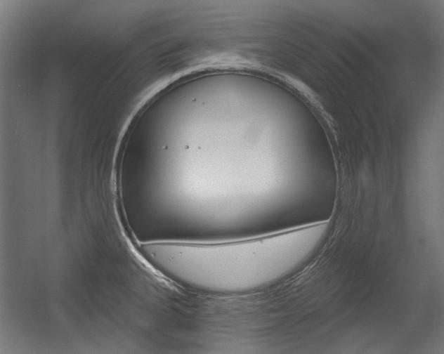 X0000054361335200507290755