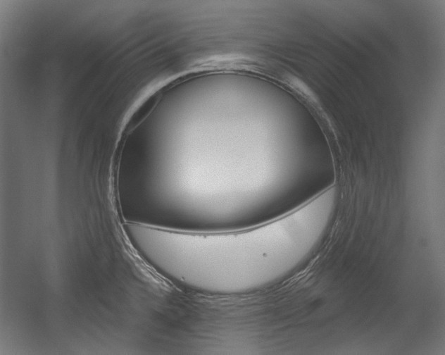 X0000054361336200507290755