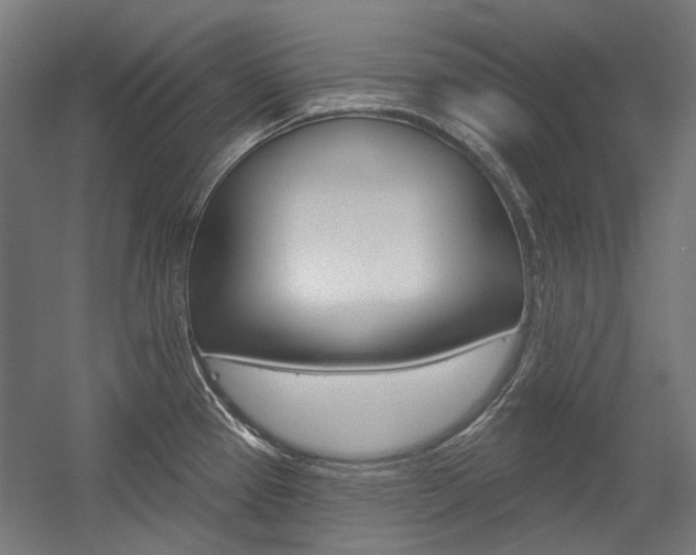 X0000054361337200507290755