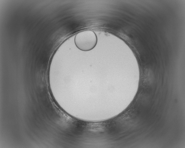 X0000054361338200507290755