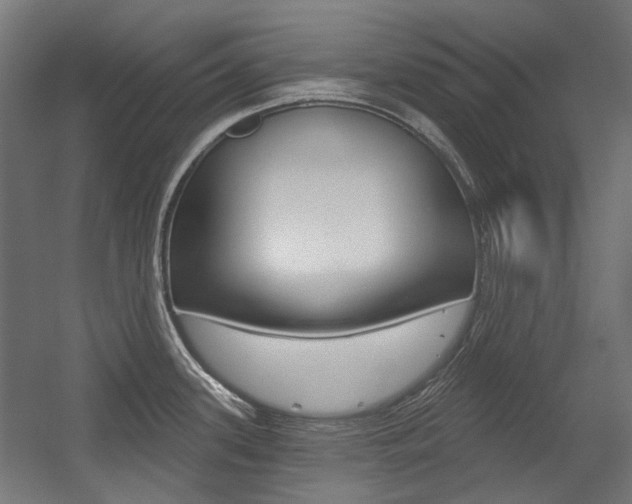 X0000054361339200507290755