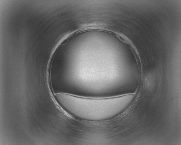 X0000054361341200507290755