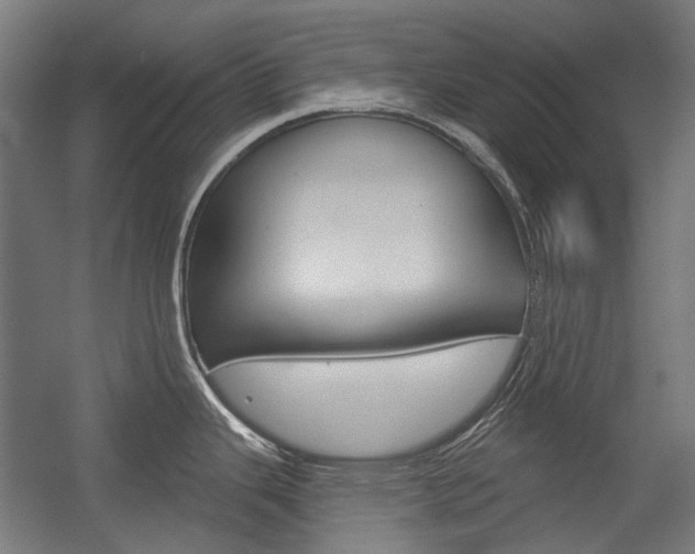 X0000054361343200507290755