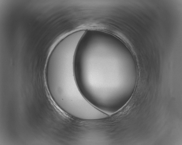 X0000054361344200507290755