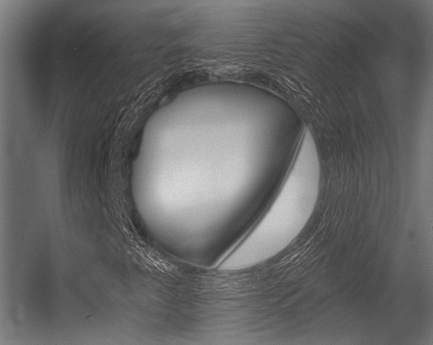 X0000054361345200507290754