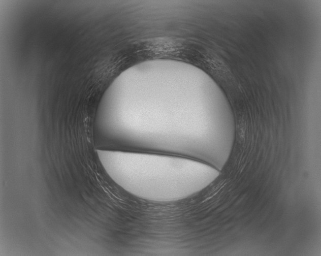 X0000054361346200507290754