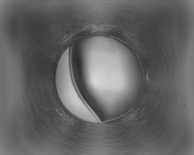 X0000054361348200507290754