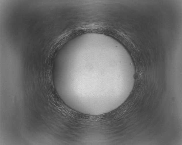 X0000054361350200507290754