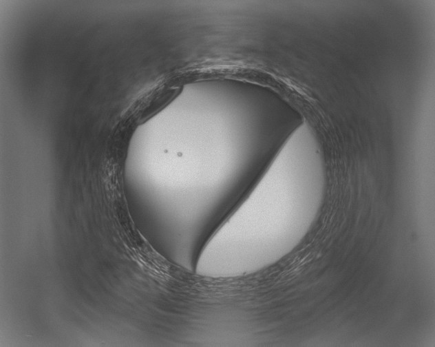 X0000054361351200507290754