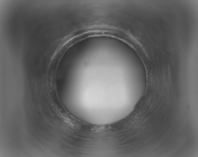 X0000054361352200507290754