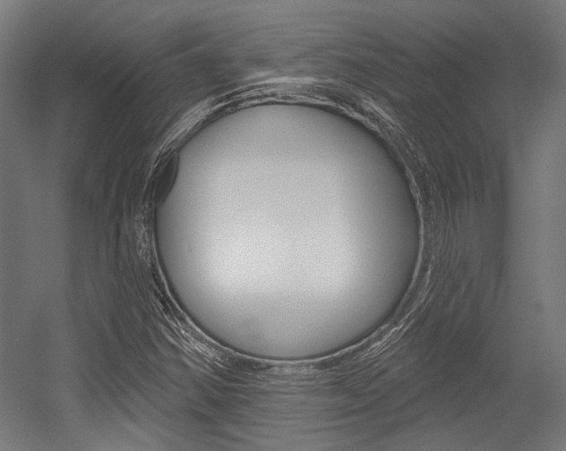 X0000054361354200507290754
