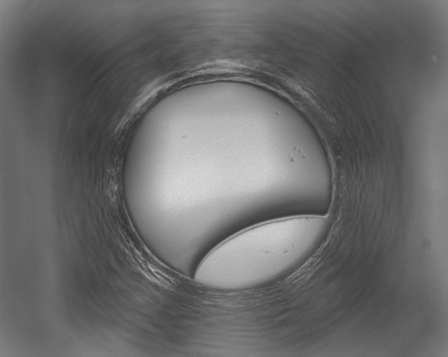 X0000054361355200507290754