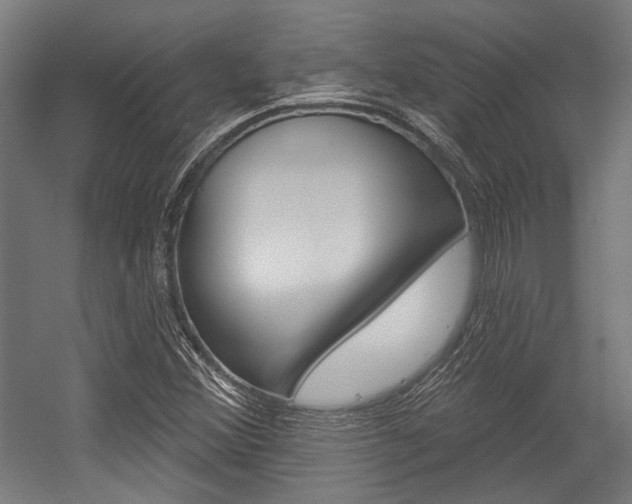 X0000054361356200507290754