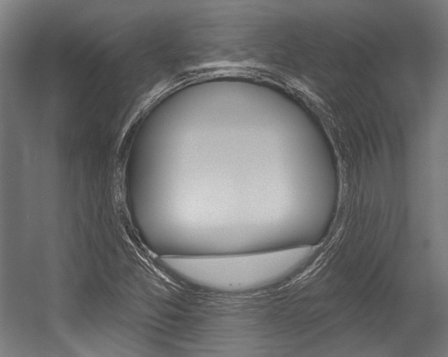 X0000054361357200507290754