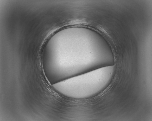 X0000054361358200507290754