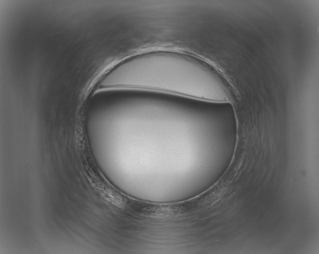 X0000054361359200507290754