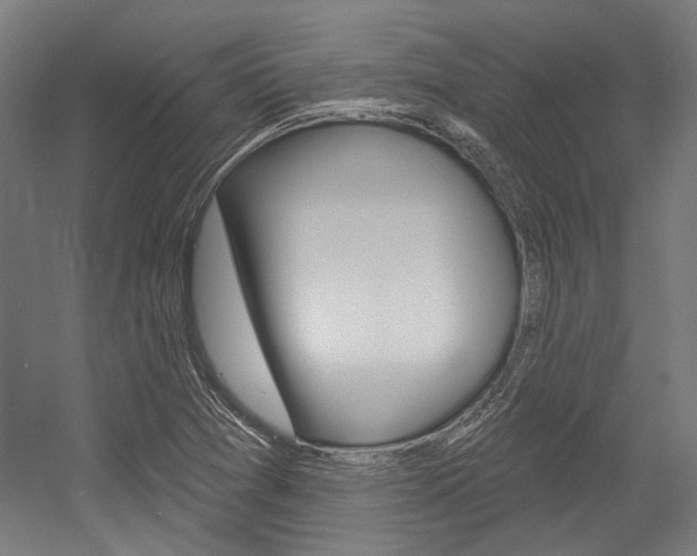 X0000054361361200507290754