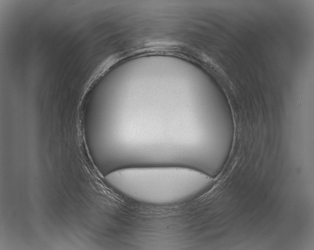 X0000054361362200507290754