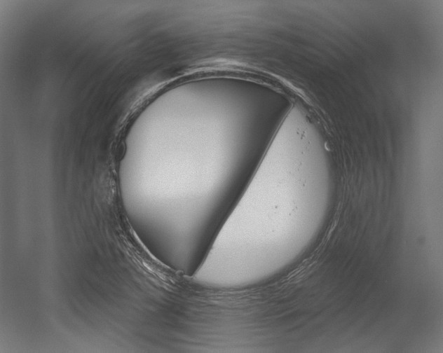 X0000054361363200507290754