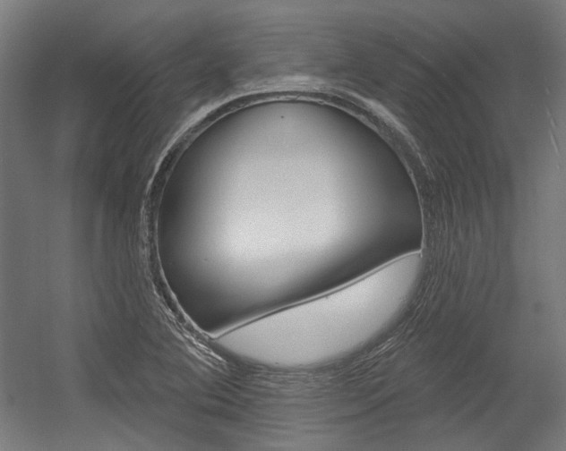 X0000054361364200507290754