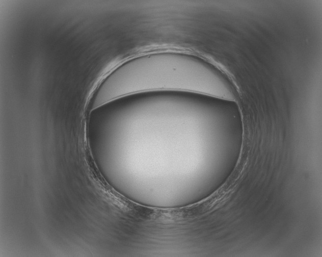 X0000054361365200507290754