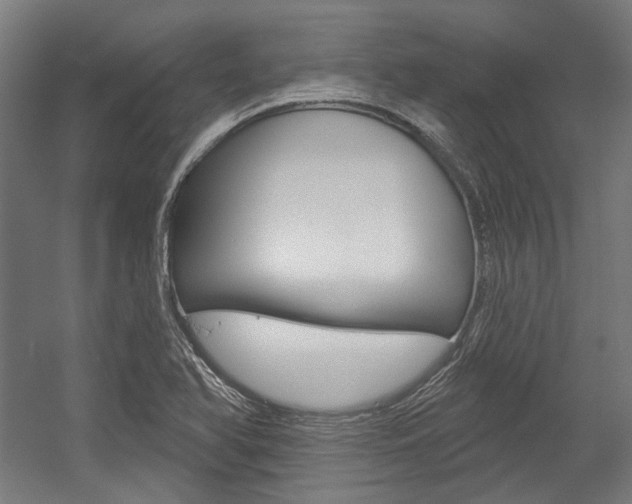 X0000054361366200507290754