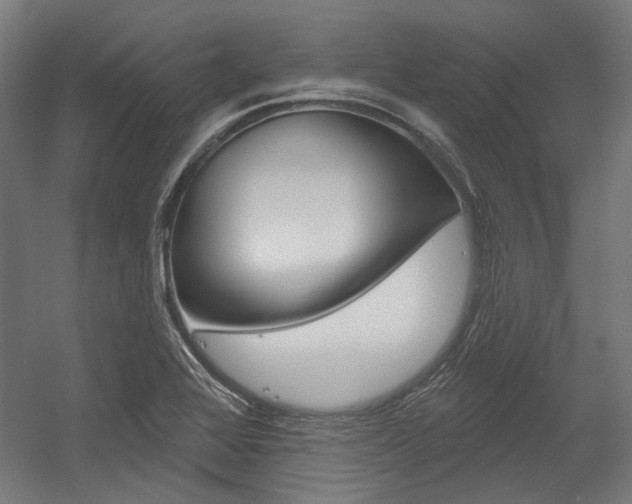 X0000054361368200507290754