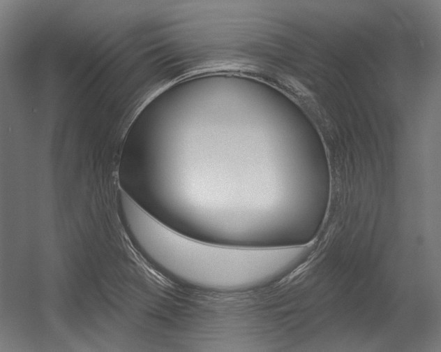 X0000054361369200507290754