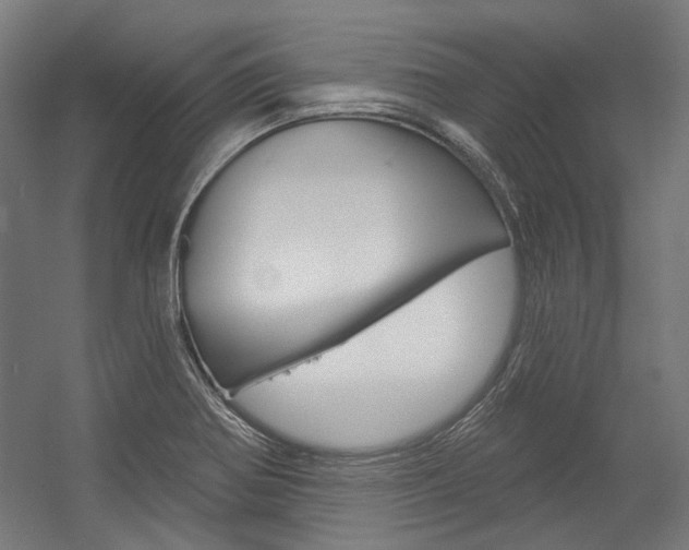 X0000054361370200507290754