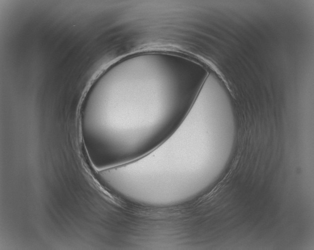 X0000054361371200507290754