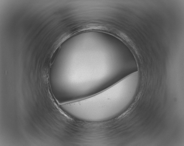 X0000054361377200507290754