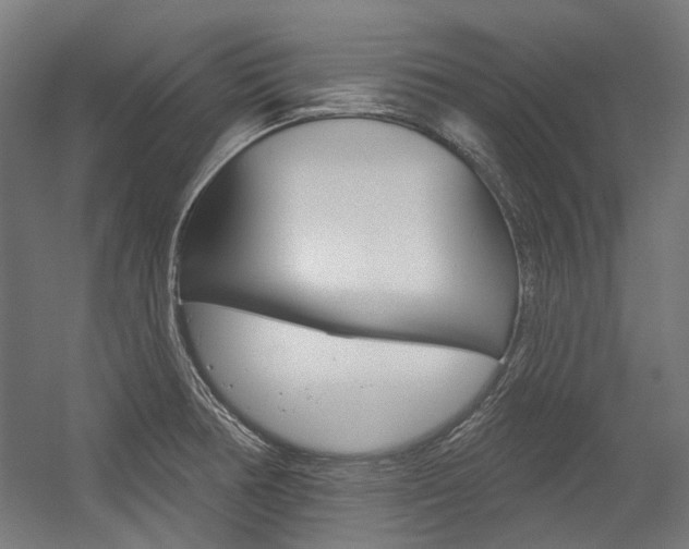 X0000054361378200507290754