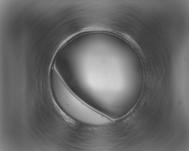 X0000054361380200507290753