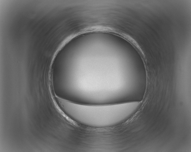 X0000054361381200507290753