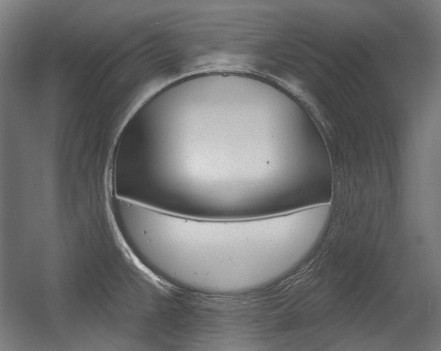 X0000054361383200507290753
