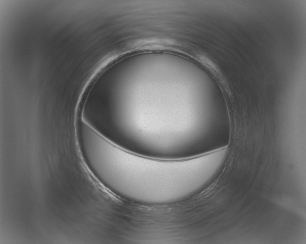 X0000054361384200507290753