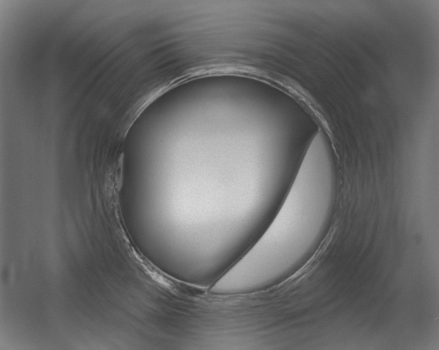 X0000054361385200507290753
