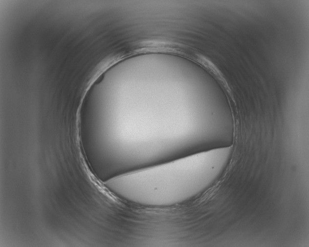 X0000054361386200507290753