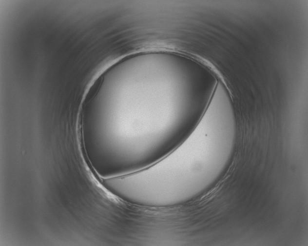 X0000054361387200507290753