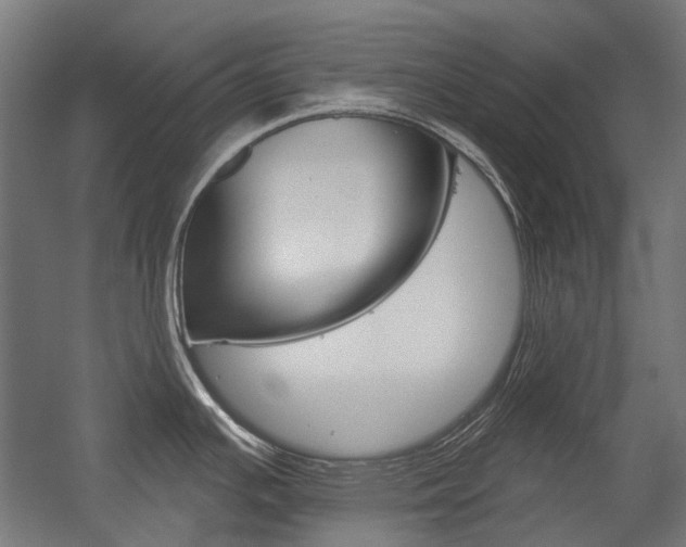 X0000054361391200507290753