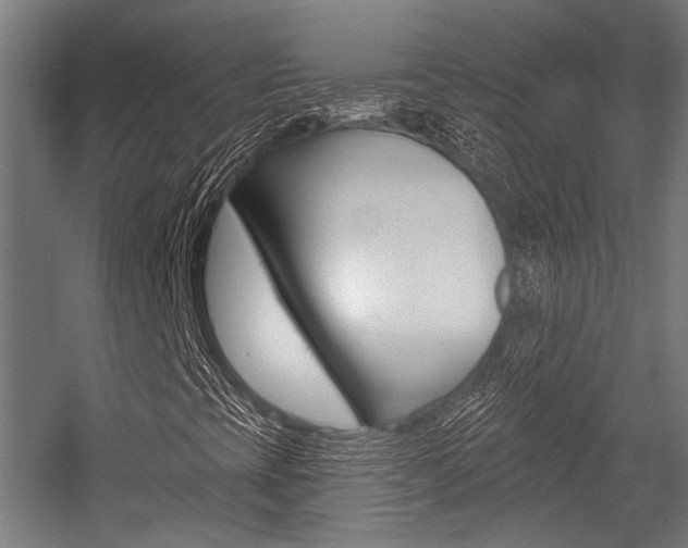 X0000054361393200507290752