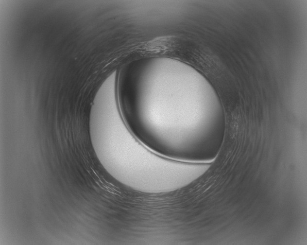X0000054361394200507290752