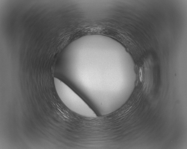 X0000054361395200507290753