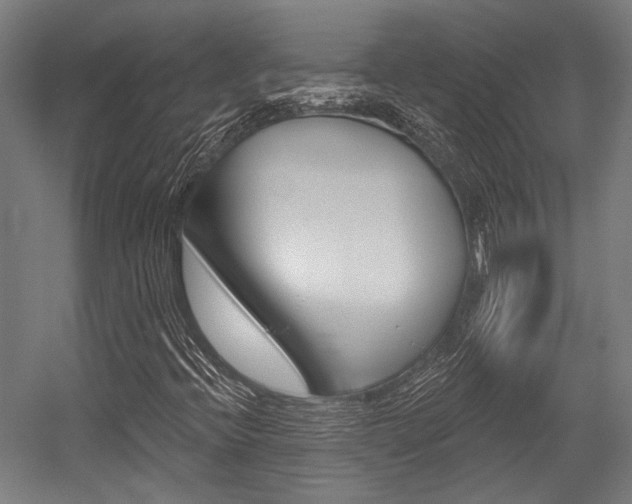 X0000054361396200507290753