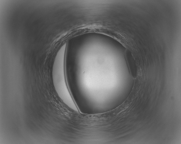 X0000054361398200507290753
