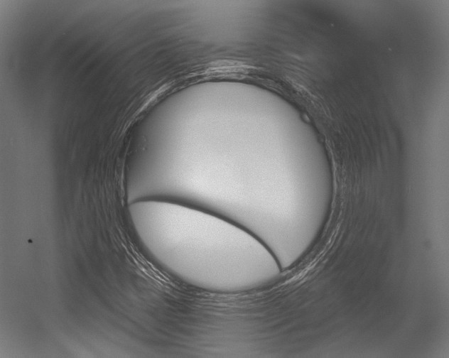 X0000054361401200507290753
