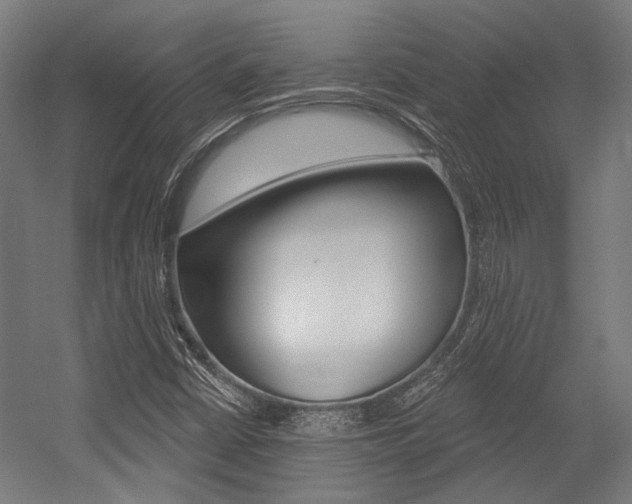 X0000054361402200507290753