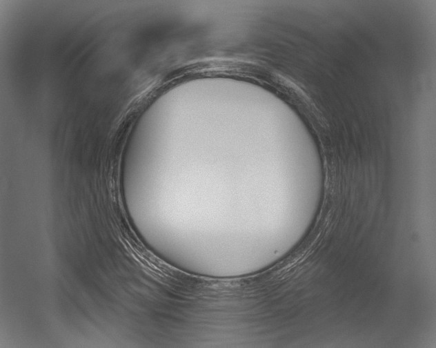 X0000054361403200507290753
